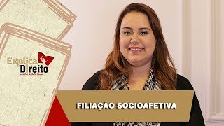 Explica Direito Filiação Socioafetiva  2019 [upl. by Doownel]