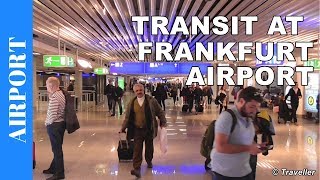 TRANSIT WALK AT FRANKFURT Airport FRA Terminal 1  Connection Flight Transfer Arriving amp Departing [upl. by Fey]